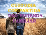CUSTODIA COMPARTIDA Y EL USO DE LA VIVIENDA FAMILIAR.