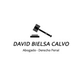 David Bielsa Calvo