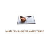 María Pilar Laguna Marín-Yaseli