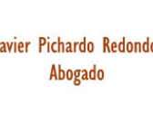 Javier Pichardo Redondo, Abogado