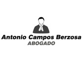 Antonio Campos Berzosa
