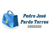 Pedro José Pardo Torres