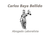 Carlos Baya Bellido