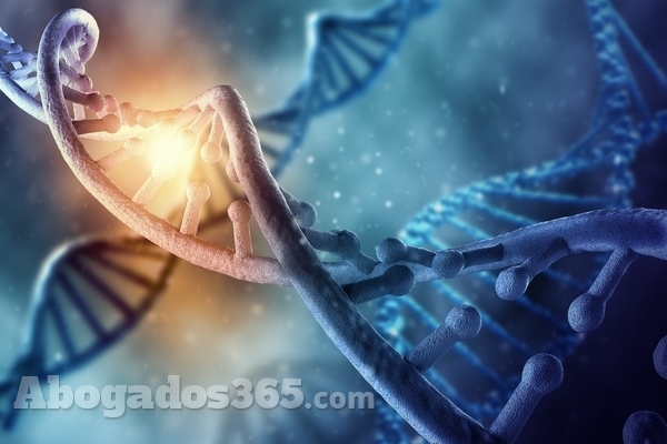 ¿Cómo pedir la prueba de ADN a mi padre biológico?