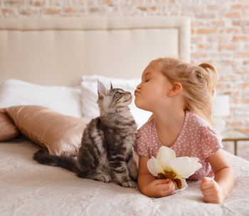 A la hora de arrendar una vivienda, ¿tiene cabida mi mascota?