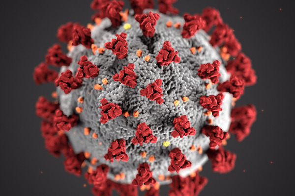 Cuestiones Legales en tiempo de CoronaVirus