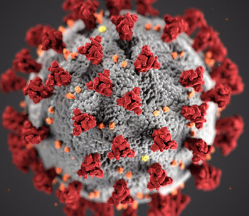 Cuestiones Legales en tiempo de CoronaVirus