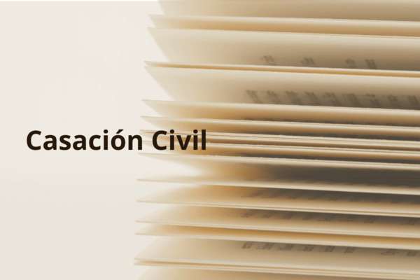 El recurso de casación en España: una mirada al recurso de casación civil y contencioso-administrativo