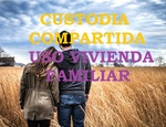 EL USO DE LA VIVIENDA FAMILIAR EN CUSTODIA COMAPRTIDA.
