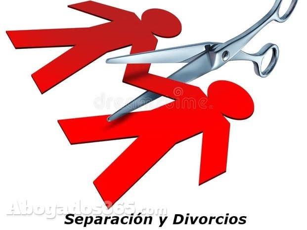 Separaciones y Divorcios, Contencioso o de Mutuo Acuerdo