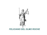 Feliciano del Olmo Roche