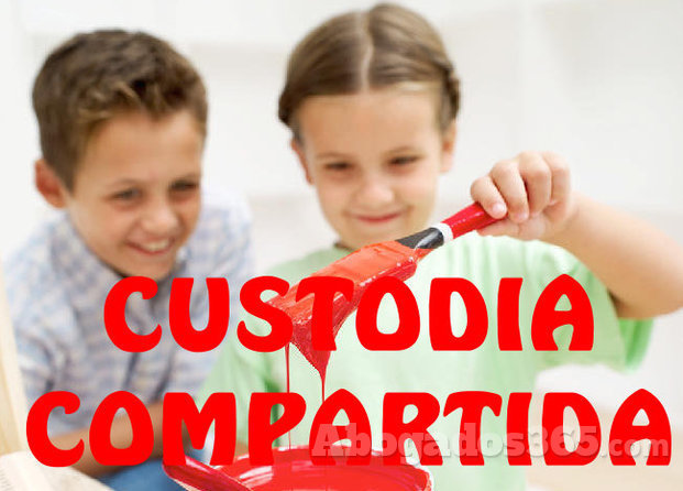 Custodia compartida