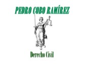 Pedro Cobo Ramírez