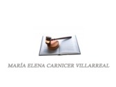 María Elena Carnicer Villarreal