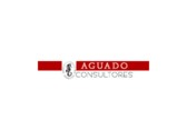 Aguado Consultores