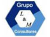 Grupo L & M Consultores