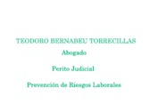 Teodoro Bernabeu Torrecillas
