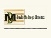 David Modrego Asesoría