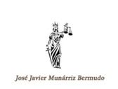 José Javier Munárriz Bermudo
