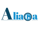 GRUPO ALIAGA
