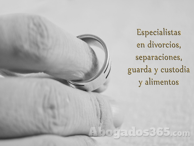 5Especialistas en divorcios, separaciones, guarda y custodia y alimentos.jpg