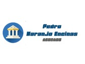 Pedro Naranjo Encinas
