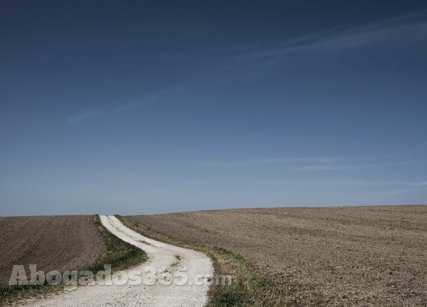 Camino hacia la solución