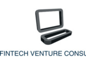 Fintech Venture Consulting