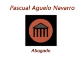 Pascual Aguelo Navarro