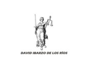 David Ibarzo de los Rios