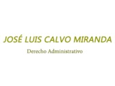 José Luis Calvo Miranda