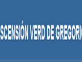 AscenSión Verd De Gregorio Abogado