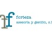 FORTEZA ASESORIA Y GESTION