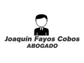 Joaquín Fayos Cobos