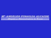Mª Ángeles Pinaglia Abogada