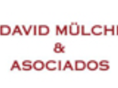 DAVID MÜLCHI & ASOCIADOS