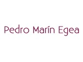 Pedro Marín Egea