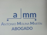 Antonio Molina Martín