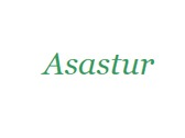 Asastur