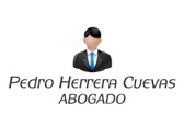 Pedro Herrera Cuevas