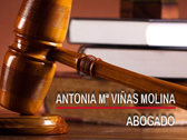 Viñas Molina Abogados