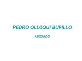 Pedro Olloqui Burillo