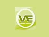 VAE Consultores