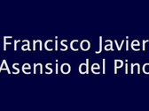 Francisco Javier Asensio Del Pino