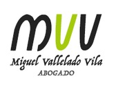 Miguel Vallelado Vila