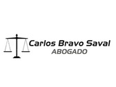 Carlos Bravo Saval